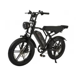 Bicicleta Elétrica Duos E-Vok 1000w Bateria De Lítio