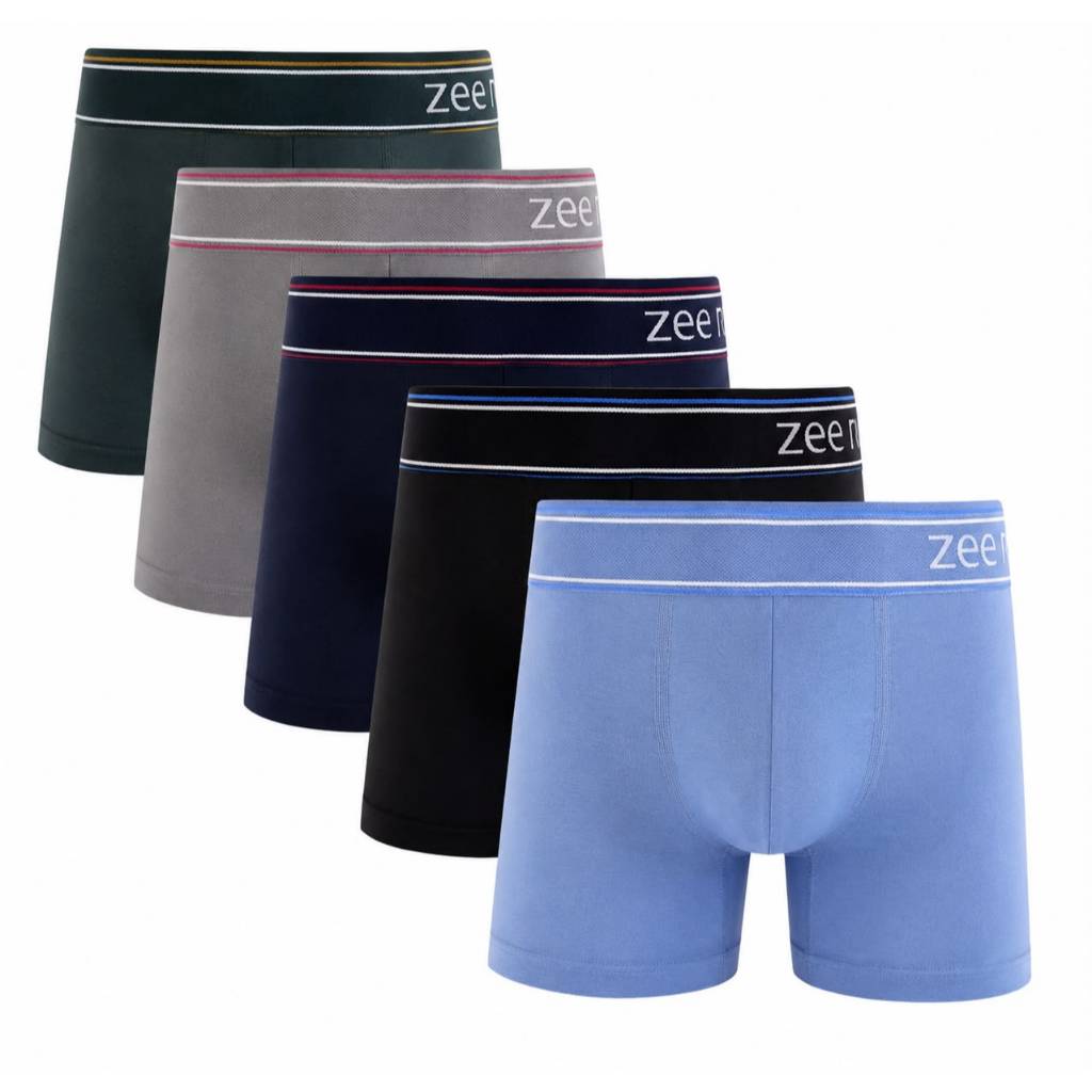 Kit 5 Cuecas Boxer Microfibra Sem Costura Zee Rucci