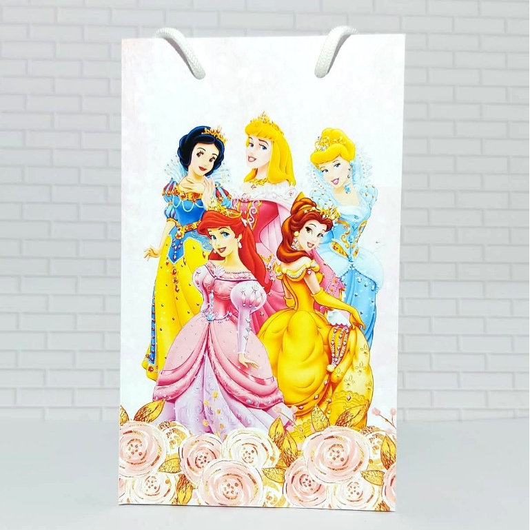 Princesas Disney - Kit Mini Sacolinha Personalizada PEGUE e MONTE/Sacola/Aniversario/Lembrancinha/Festa