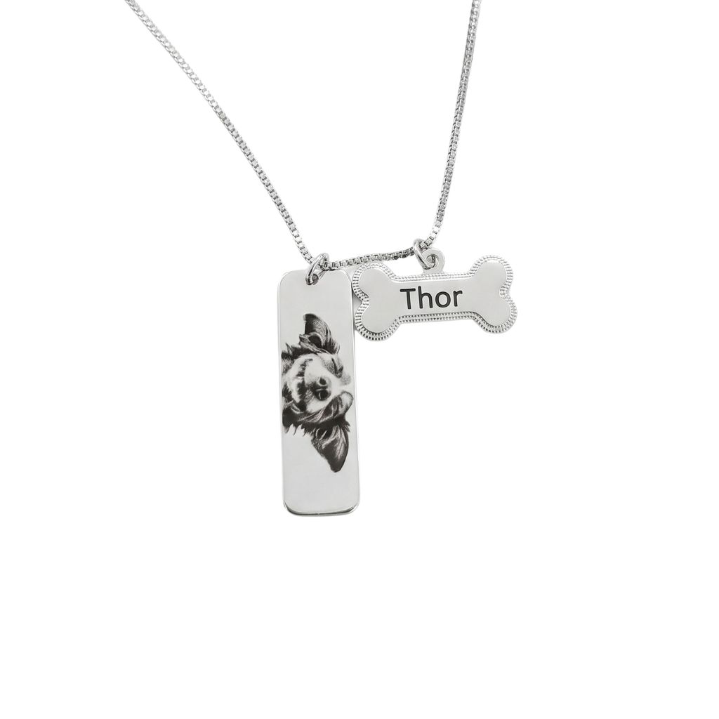 Lançamento Colar Personalizado Foto Nome  Pet Semi Joia Gravação Anti Alergico Banhado Ouro 18k Prata 925