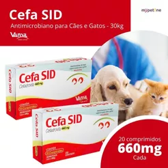 Kit 2 Antimicrobiano Cefa SID 660mg Vansil para Cães e Gatos de 1 a 30 Kg