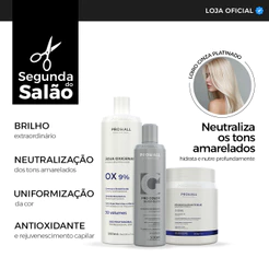 Kit Descoloração Prohall Pó Azul 500g + OX 30 Vol 900ml + Matizador Silver Gloss 500ml