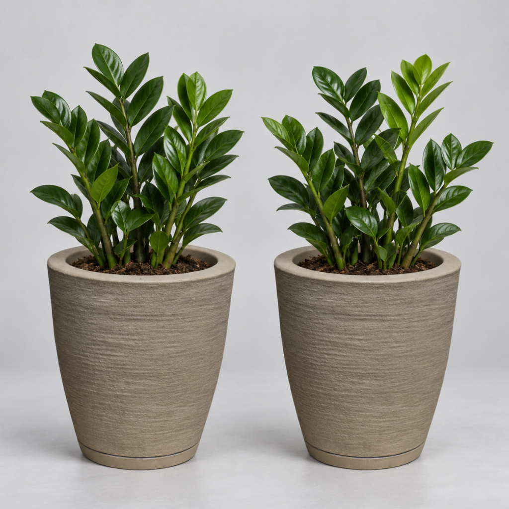 Kit 2 Vasos para Plantas Medio Decorativo em Polietileno Coluna Bojo Escovado N1 com Prato Coletor