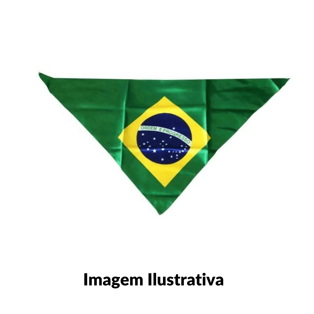 Bandana do Brasil + Bandeira do Brasil