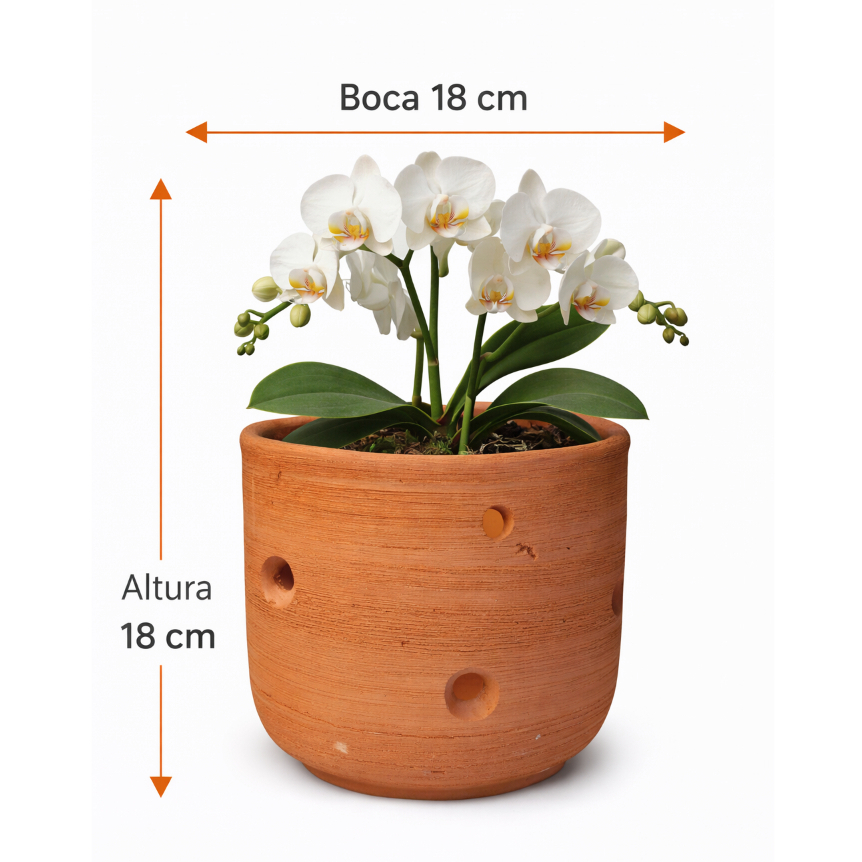 Vaso de Cerâmica para Orquídea 18x18 – Com Drenagem para Cultivo Saudável em Oferta na Shopee