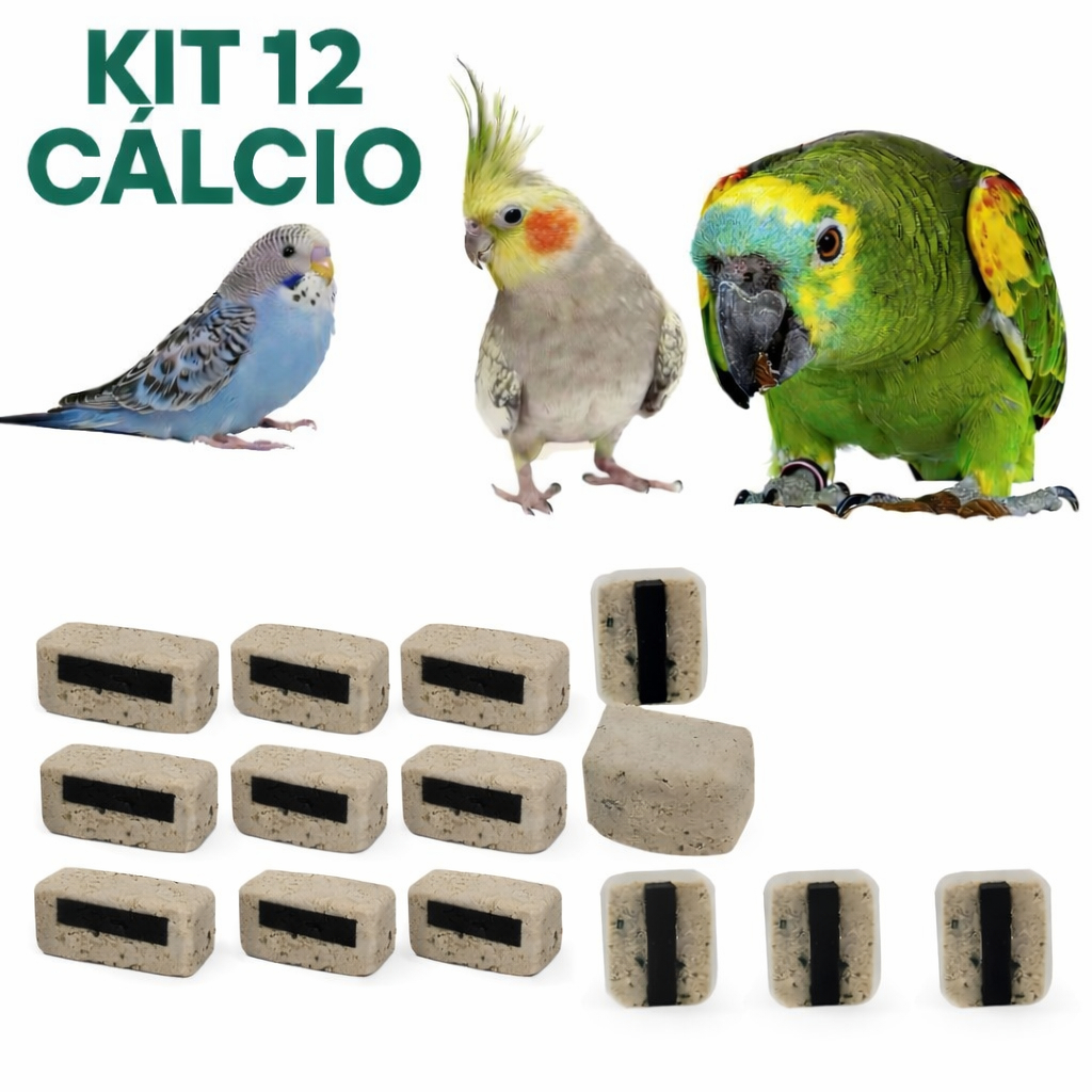 Pedra de Cálcio para Pássaros Kit pet Auxilia na Digestão e Estresse Calopsita, Periquito, Papagaio