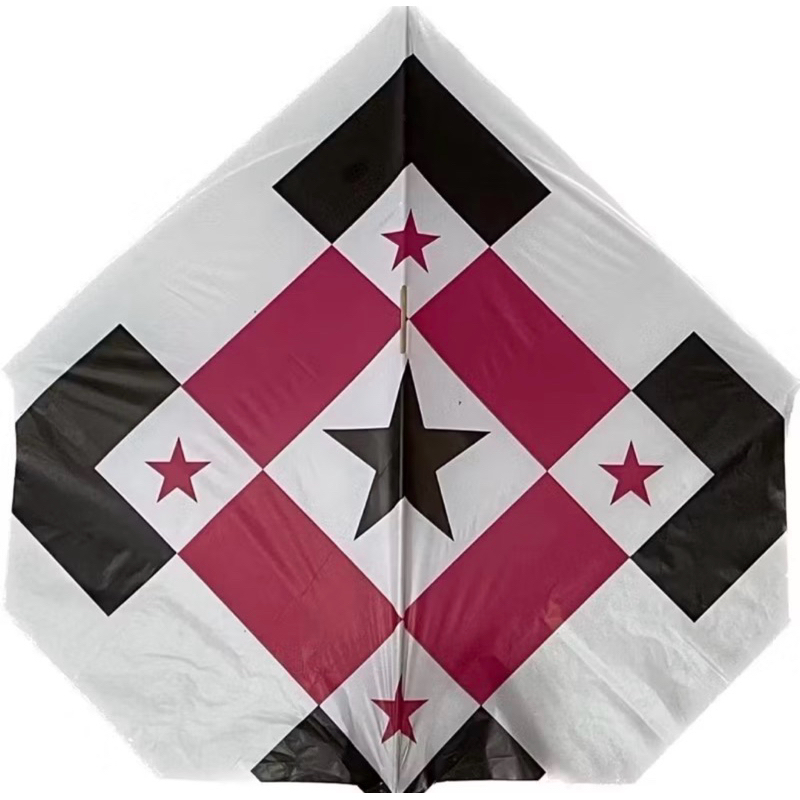 Raia Grande 40x40 Sputinik pacote com 100 unidades
