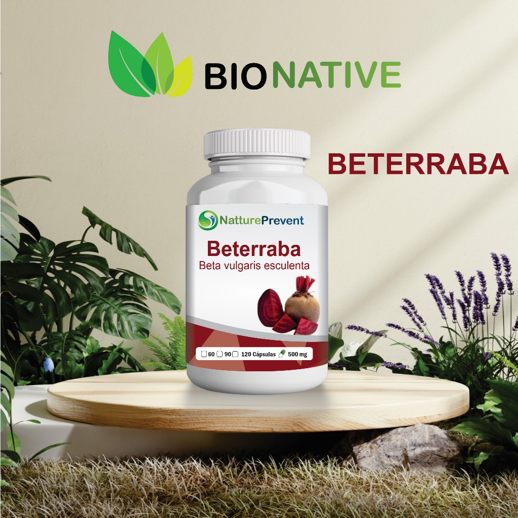 BioBroto BeterraVit 500mg 60 / 90 / 120 Cápsulas - suplemento - BIONATIVE em Oferta na Shopee