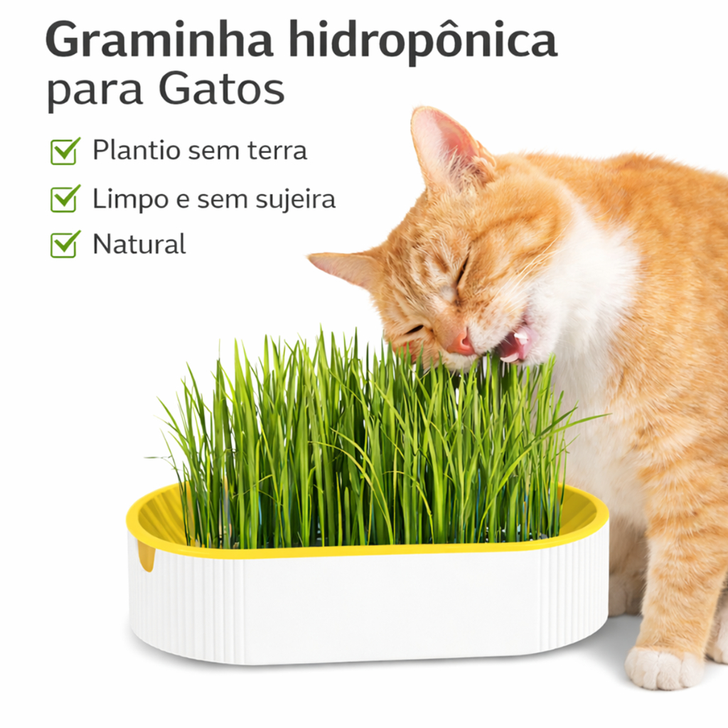 Graminha para Gatos Hidropônica Vaso sem Terra Elimina Bola de Pelo Saudável Pet + Sementes em Oferta na Shopee