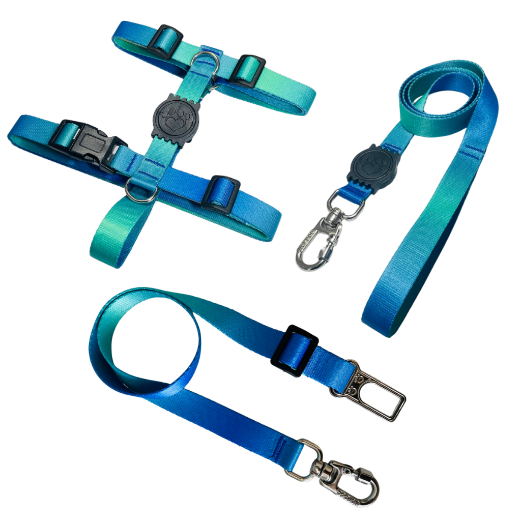 Kit Completo Pet Peitoral H + Guia + Cinto de Segurança Carro Conforto e Proteção Ajustável Azul e Verde