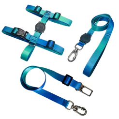 Kit Completo Pet Peitoral H + Guia + Cinto de Segurança Carro Conforto e Proteção Ajustável Azul e Verde