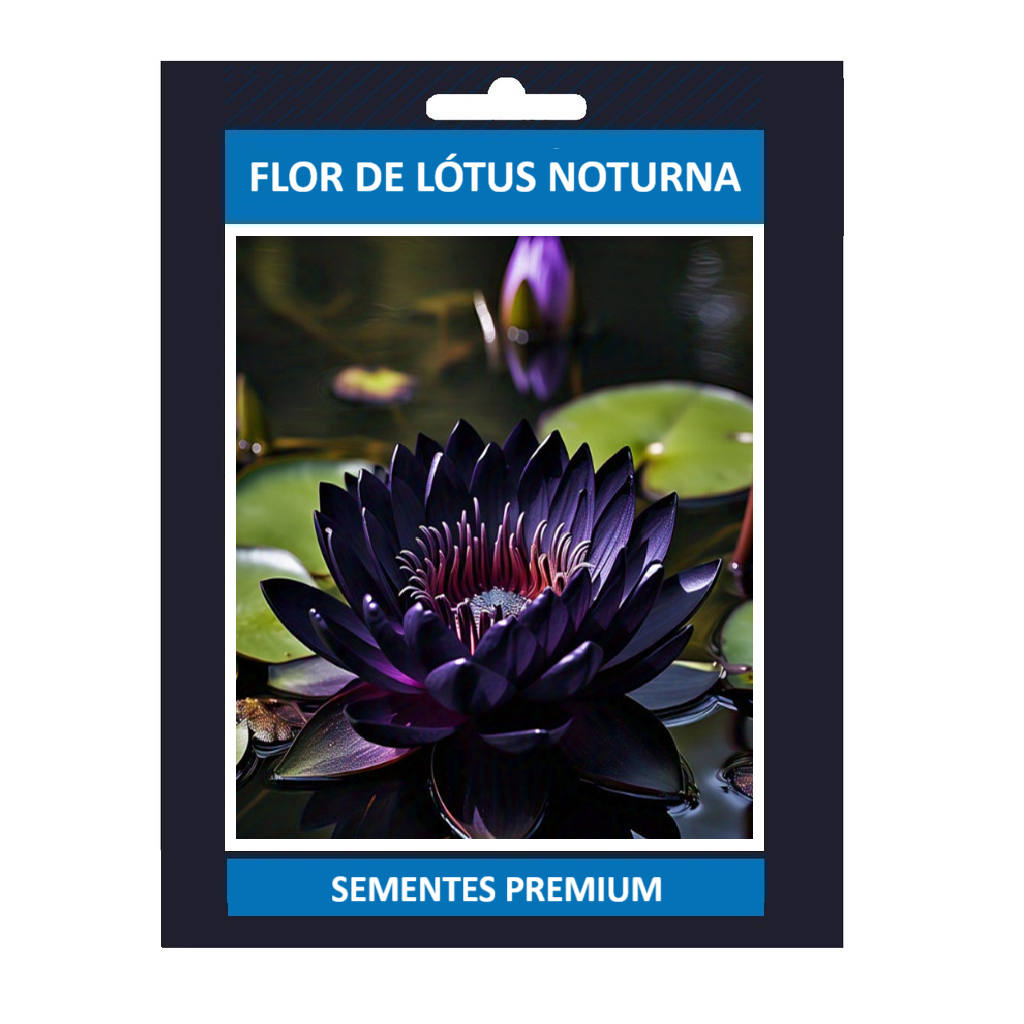 ENVIO SUPER RÁPIDO 10 Sementes de Flor de Lótus Noturna (Nelumbo obsidiana) Com Manual de Plantio