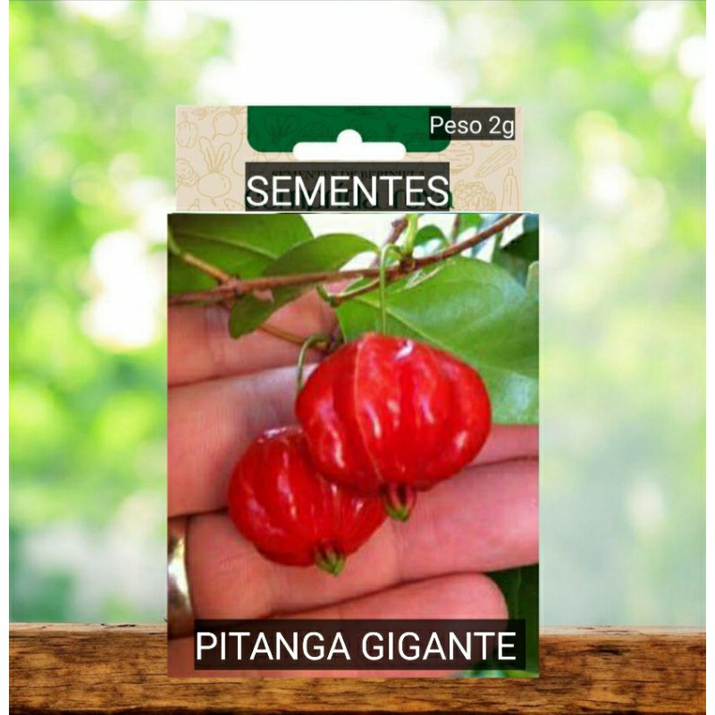 PITANGA GIGANTE sementes selecionadas plante vaso  horta terra adubo Jardim OFERTA