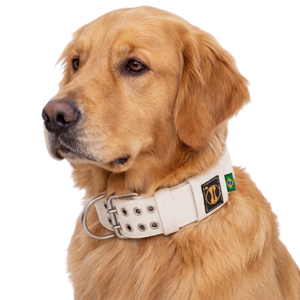 Coleira Branca Golden Retriever Cachorro Grande Porte Reforçado Fila Dalmata Dobermann Pitbull Cão