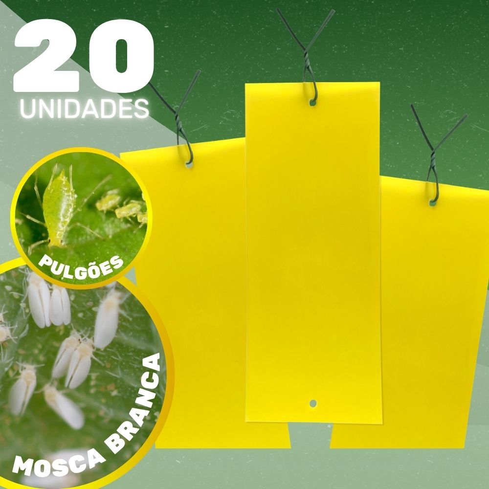 Placa Amarela de Monitoramento Kit 10un Cigarrinha do Milho Coleagro