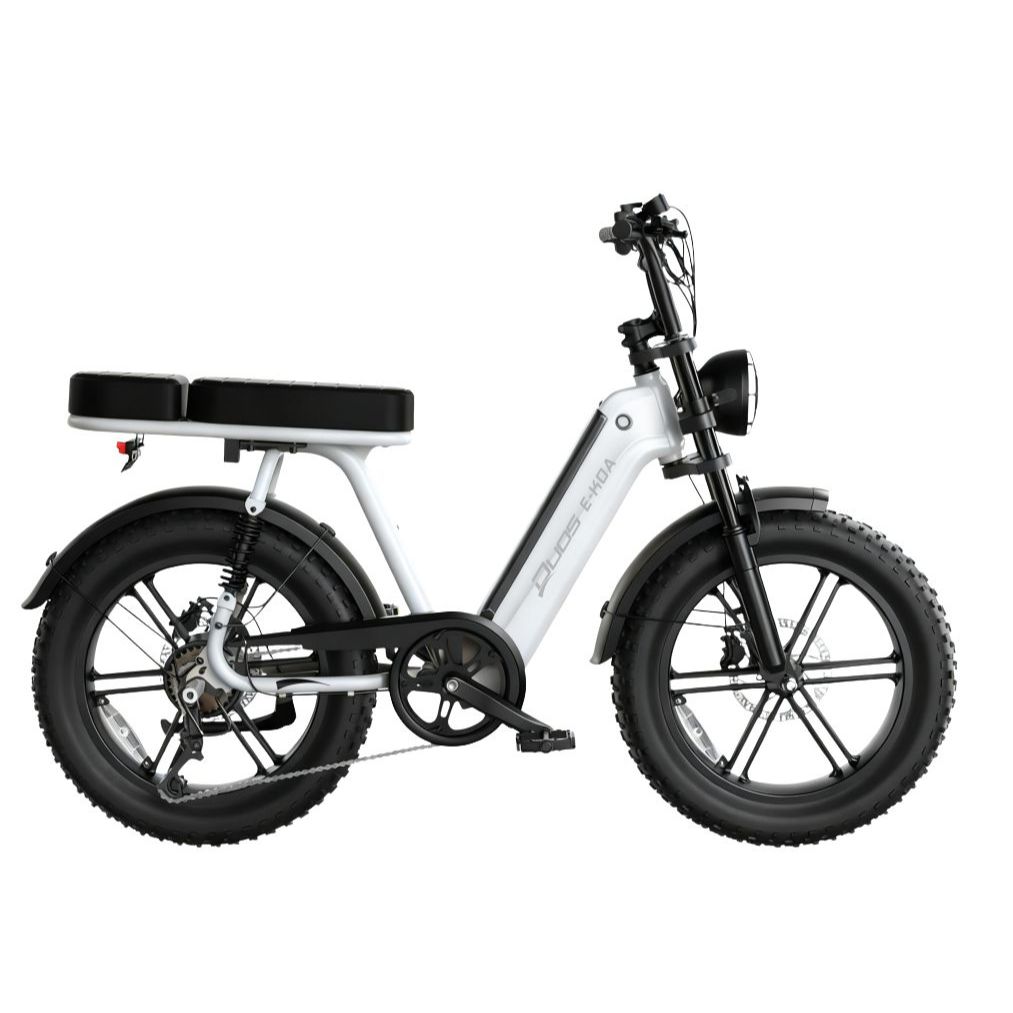 Bicicleta Elétrica Duos E-Koa 1000w Bateria De Lítio