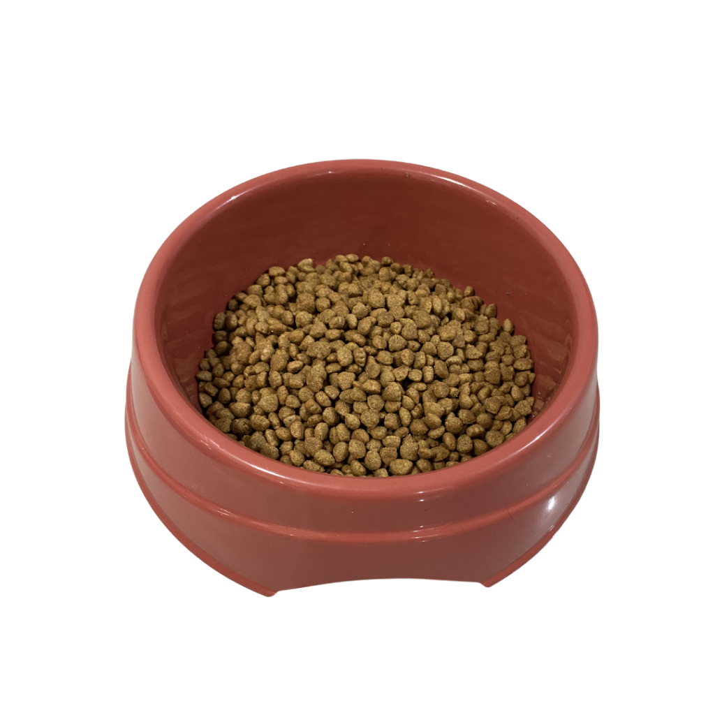 Kit 5 Comedouros Bebedouro Stilo para Cachorro Pet Médio 1500ml