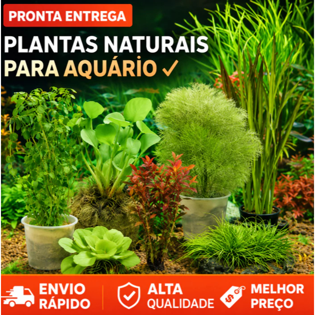 Decoração para Aquários Plantados e Lagos - Vallisneria, Elodea, Musgo, Microsorum, Anubia