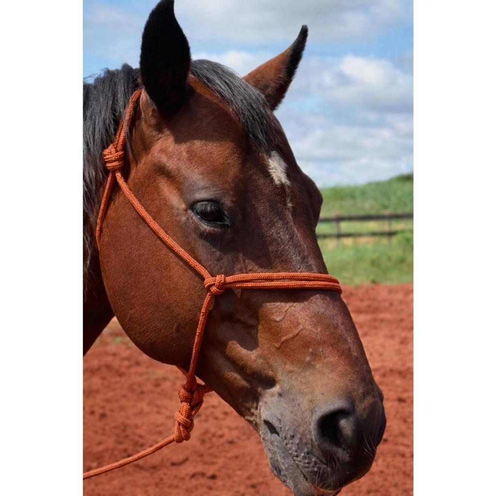 CABRESTO DE CORDA PARA CAVALO 7 NÓS 8MM | USO DIÁRIO E ALTA RESISTÊNCIA
