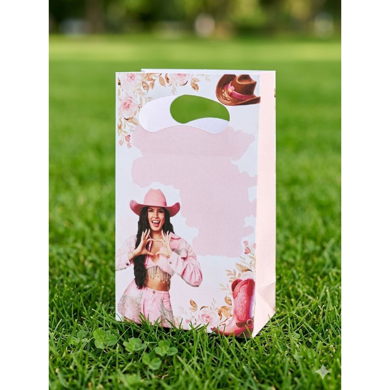 kit 2 sacolinhas surpresa personalizadas boiadeira, Ana castelo, kits festas lembrancinha