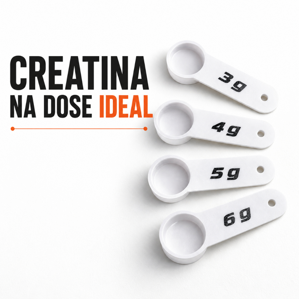 Dosador de Creatina 3g 4g 5g 6g Kit Colher Medidora Scoop Dosadora Suplemento em Pó Academia