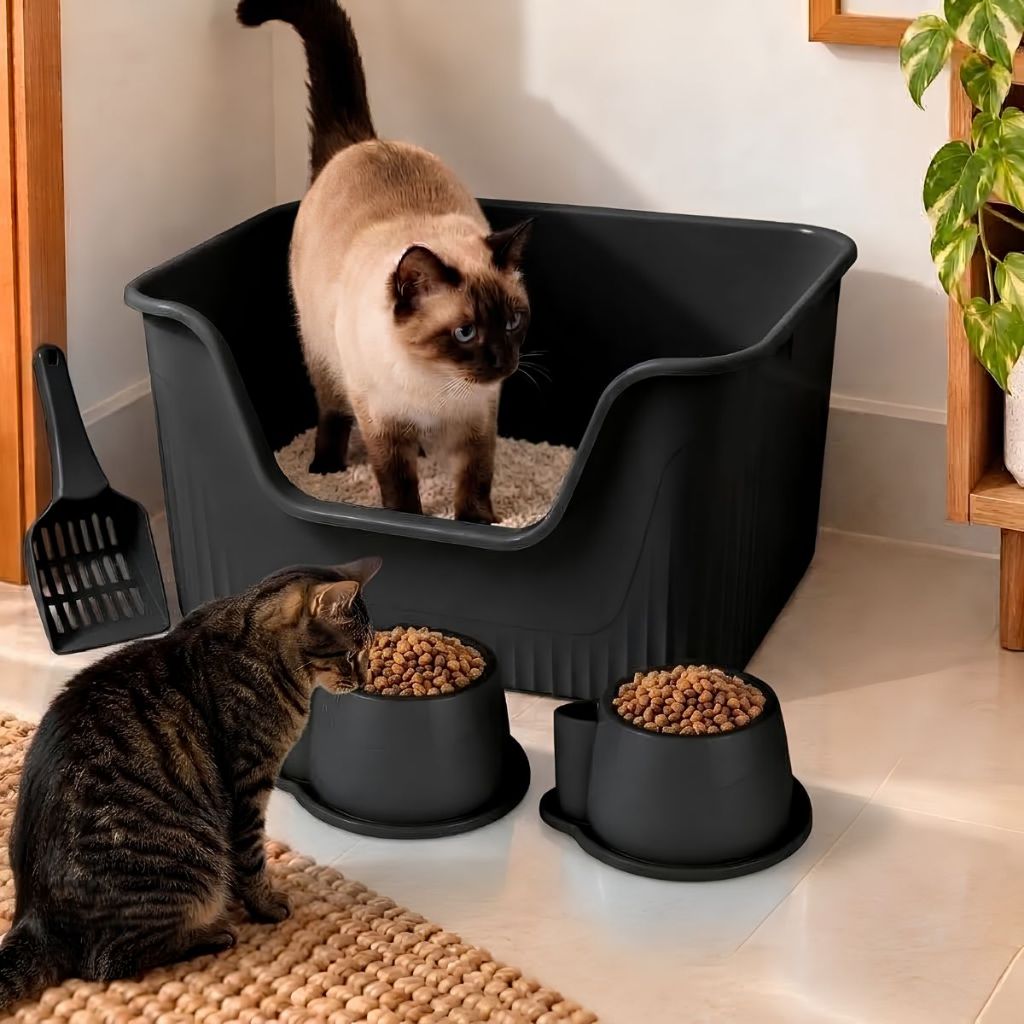 KIT CAIXA DE AREIA GIGANTE GRANDE ALTA CAMINHA TOALETE GATO ANTIODOR SANITARIO ABERTA FURBA COMEDOURO PA HIGIENICA