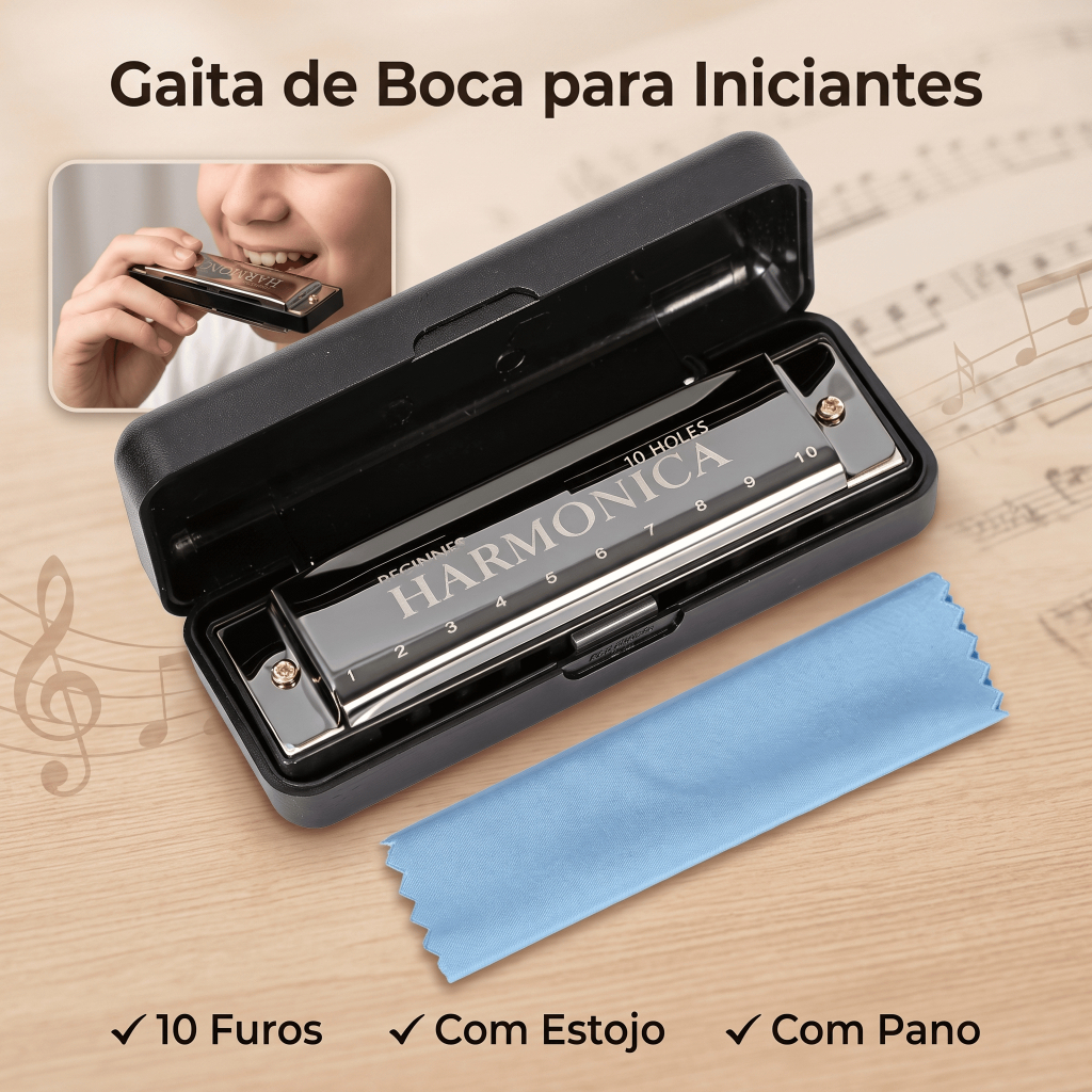 Blues Swan Gaita Harmônica - Diatônica C, 10 - 20 Vozes - TOP, Com Estojo