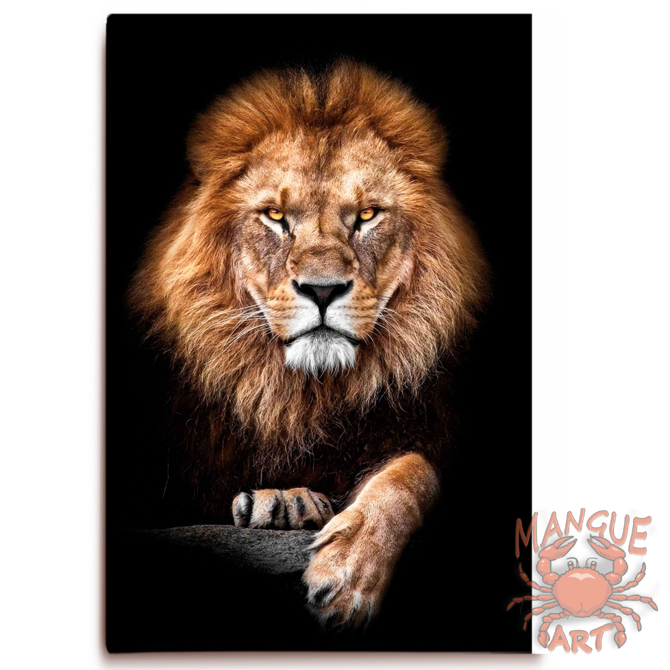 Quadro Tela Grande Leão da tribo de juda para sala alta resolução tela acetinada