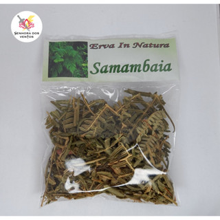 Samambaia - Erva Seca/ Erva in Natura