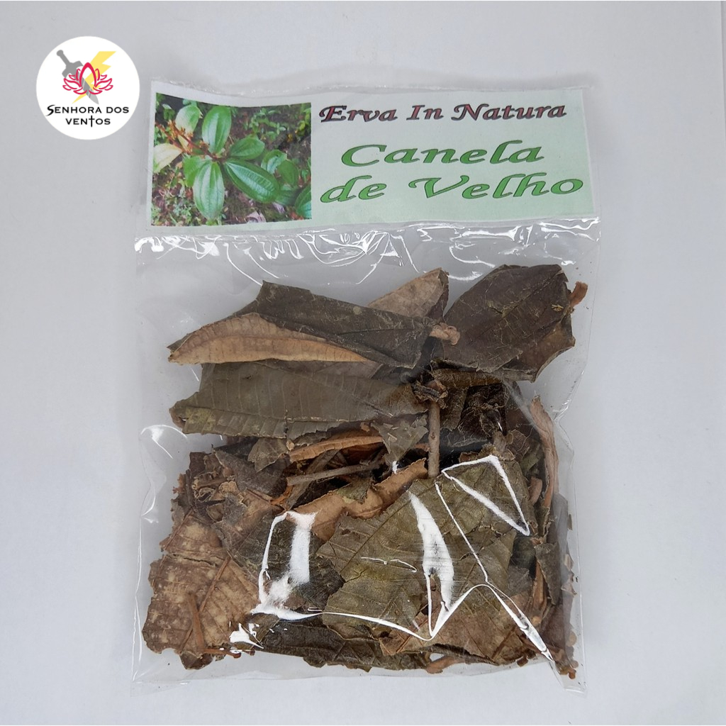 Canela de Velho - Erva Seca/ Erva in Natura