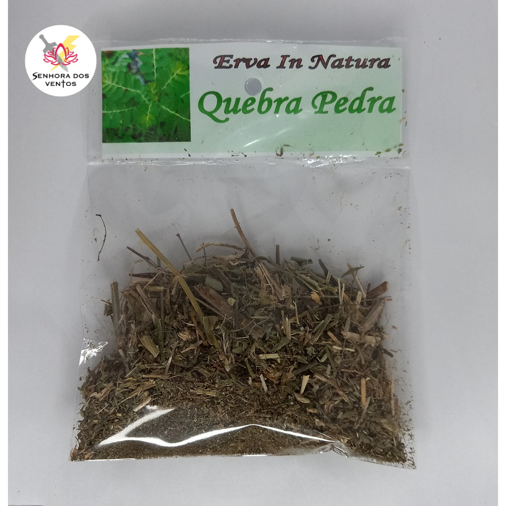 Quebra Pedra - Erva Seca/ Erva in Natura