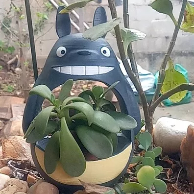 Vasos para suculentas / plantinhas - Totoro em Oferta na Shopee