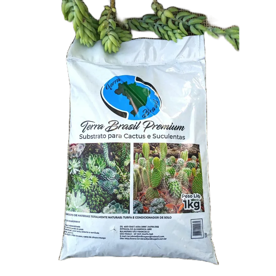 Substrato para Cactos e Suculentas 1kg Orgânico