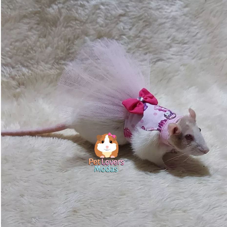 vestido fantasia pet angelina bailarina para rato twister + laço e guia passeio