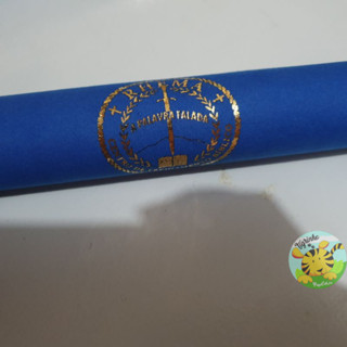 Canudo Personalizado para Formatura ou graduação tamanho 31x4 cm diversas cores material em camurça ou papel color
