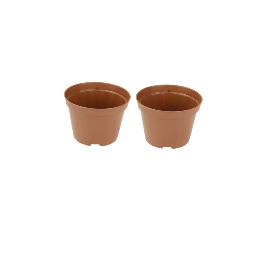 100 Vasos Plásticos Pote 11 MARROM Rígido 430 Ml Para Cactos Suculentas violetas