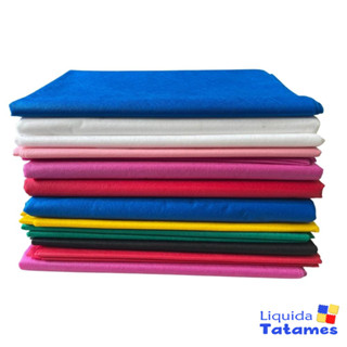 TNT (Tecido Não Tecido) - 40g Escolha A Cor (2,20cm x 1,40cm).