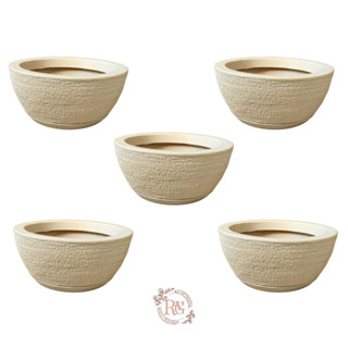 Kit Com 5 Vasos Bacia Polietileno Para Plantas cactos e Suculentas Nº1 (26x13) Com prato