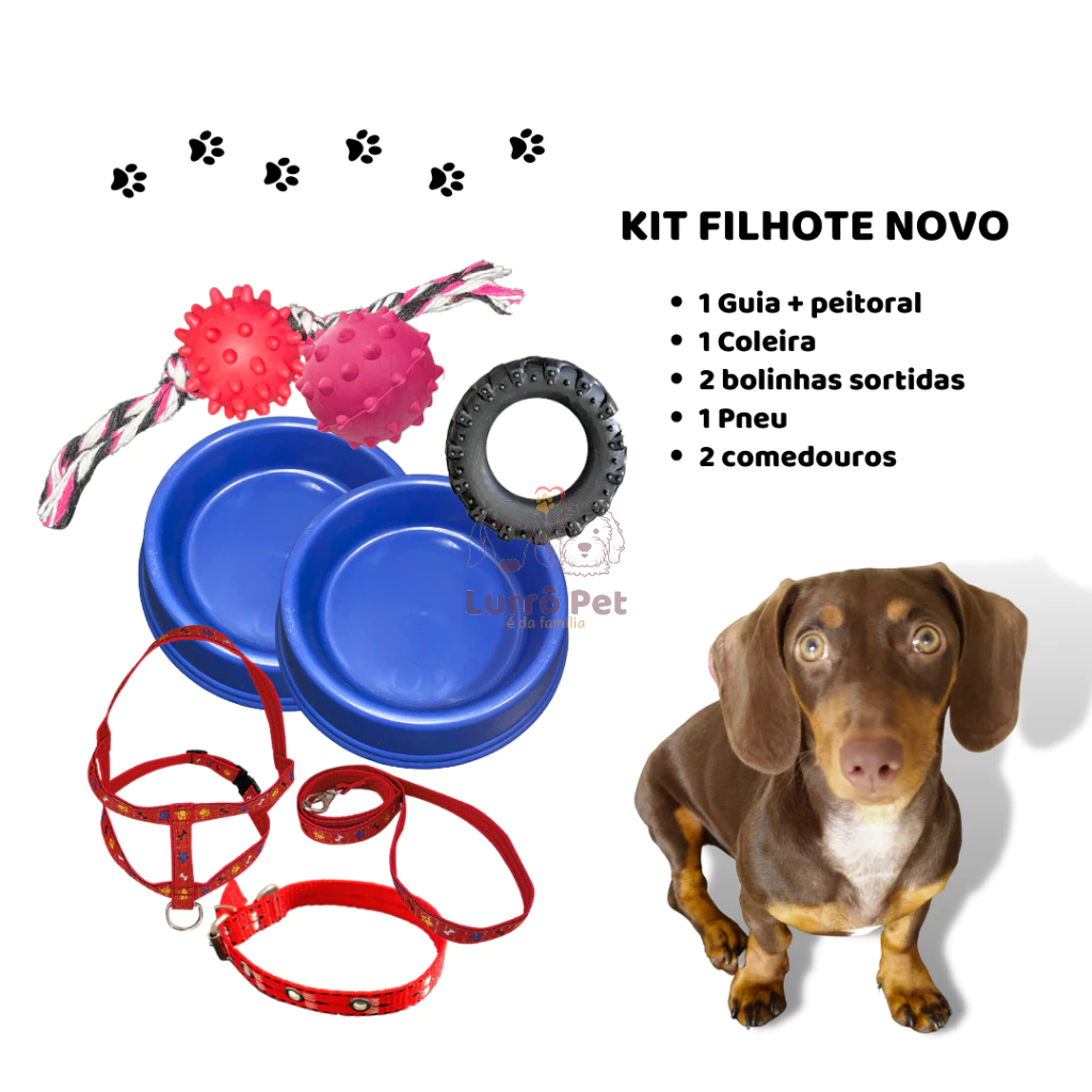 Conjunto Kit para Filhotes de Cachorro Pet Comedouro Brinquedo Bola Guia Coleira Sortido Completo