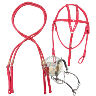 cabeçada de cavalo vaquejada completa freio professora barata nylon em Oferta na Shopee