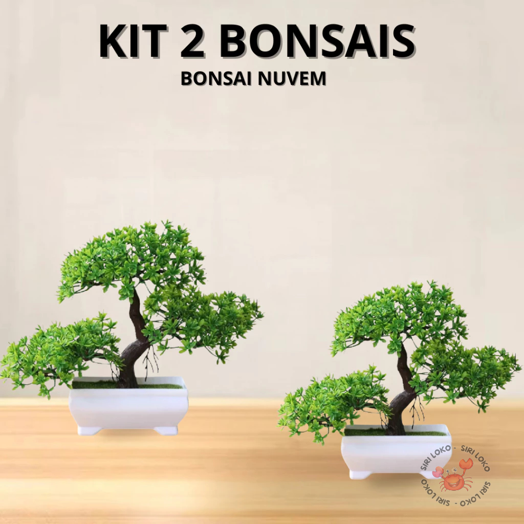 Kit 2 Bonsais Artificial  Realista Natural  Bonsais Nuvem Fortuna Barba de Dragão  Abundância em Oferta na Shopee