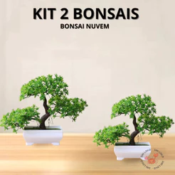 Kit 2 Bonsais Artificial Realista Natural Bonsais Nuvem Fortuna Barba de Dragão Abundância