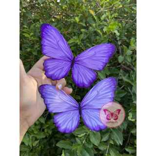 12 Borboletas 15 CM Dois Tons de Roxo Enfeites Festa em Oferta na Shopee