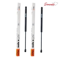 Par Amortecedor Porta Malas Tampa Traseira Idea 2011 / Cofap em Oferta na Shopee