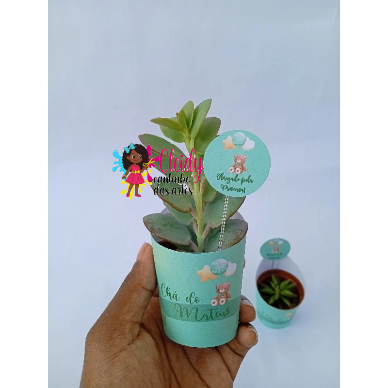 Topo de doces/Topo para cupcake/Topo Suculenta/Topo personalizados (qualquer tema)