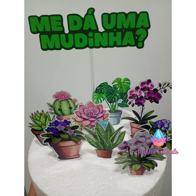 Topo de bolo me dá uma mudinha - Plantas - Flores - Cacto - suculenta - rosa- aniversário