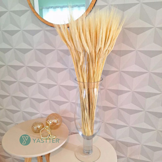 Trigo Seco Para Decoração 40 a 200 hastes Arranjos Flores Desidratadas Vaso Decorativo, Lembrancinha em Oferta na Shopee