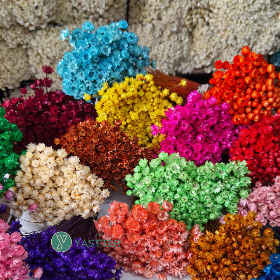 Flor Sempre Viva 1,2 ou 4 Buquê Flores Desidratada e seca | Decoração Arranjo e Artesanato em Oferta na Shopee