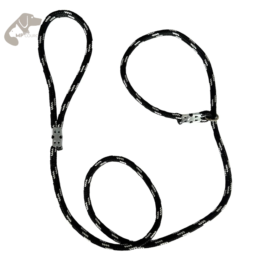 Guia Unificada de Adestramento em Corda Controle, Conforto e Segurança para seu Pet aprender passear