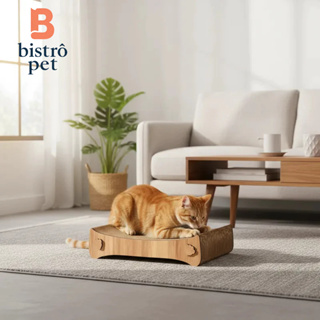 Arranhador Para Gatos Cama Papelão Gato Divertido em Oferta na Shopee